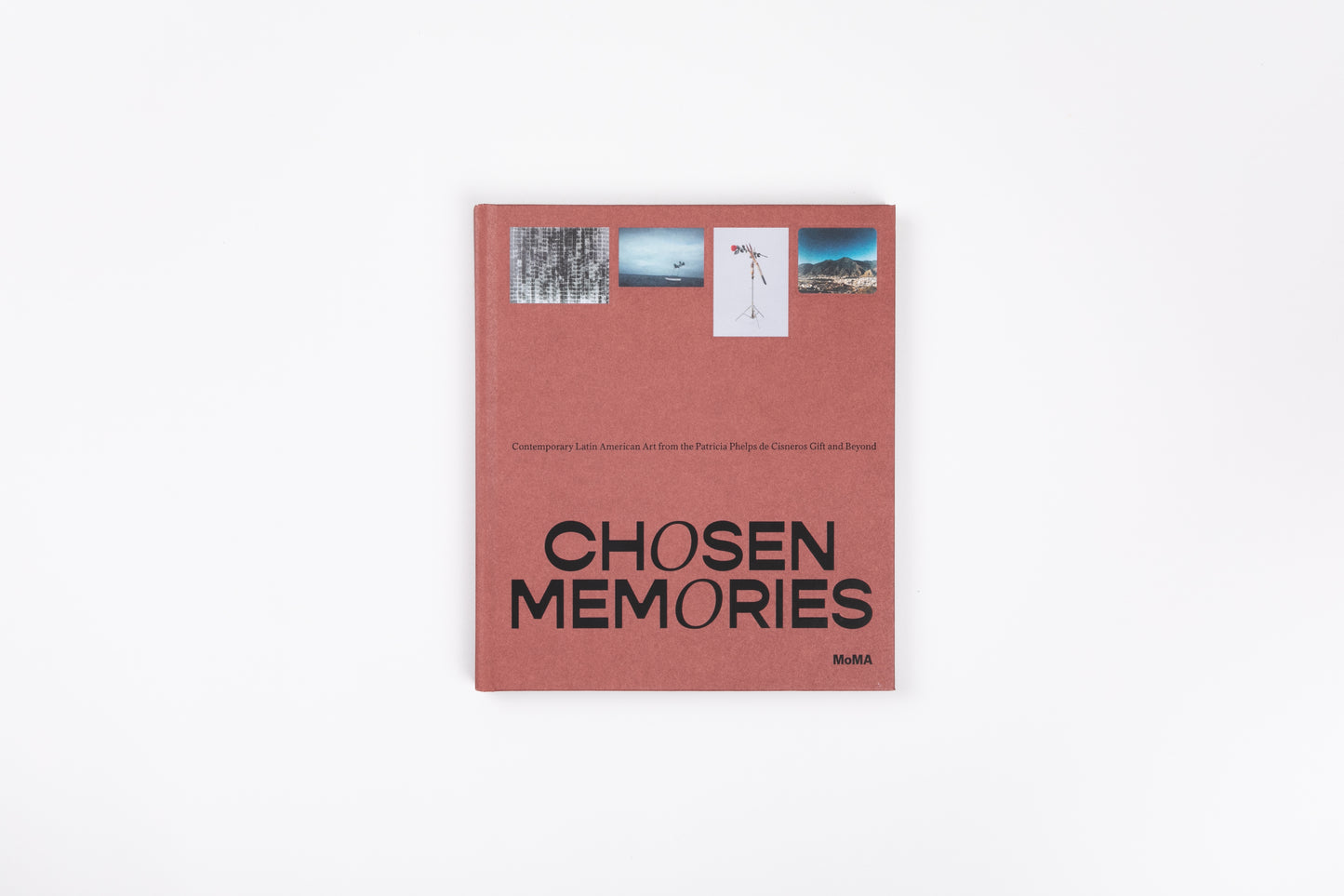 Chosen Memories: Contemporary Latin American Art from the Patricia Phelps de Cisneros Gift and Beyond