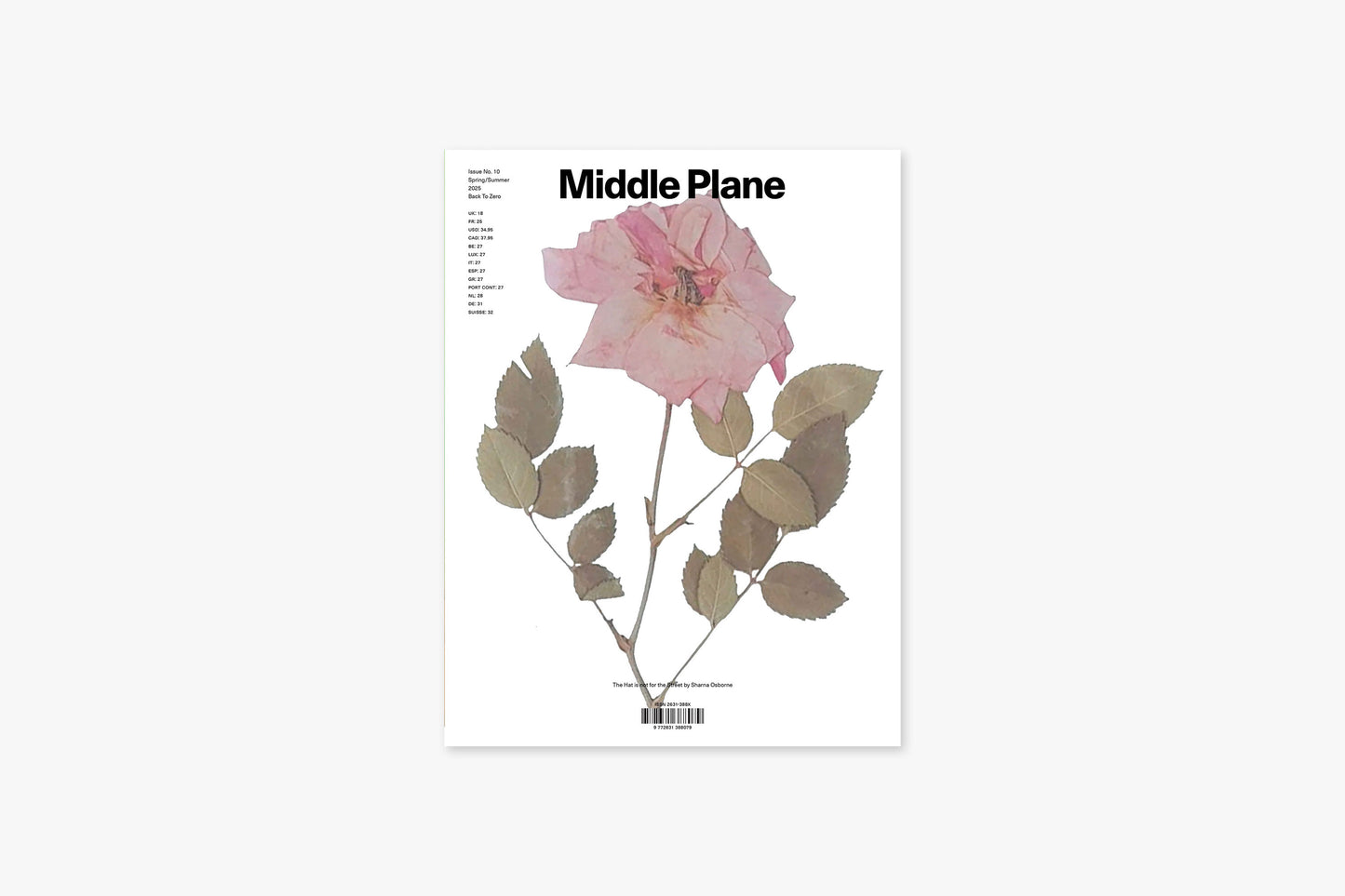 Middle Plane Issue 10: The Hat is not for the Street by Sharna Osborne