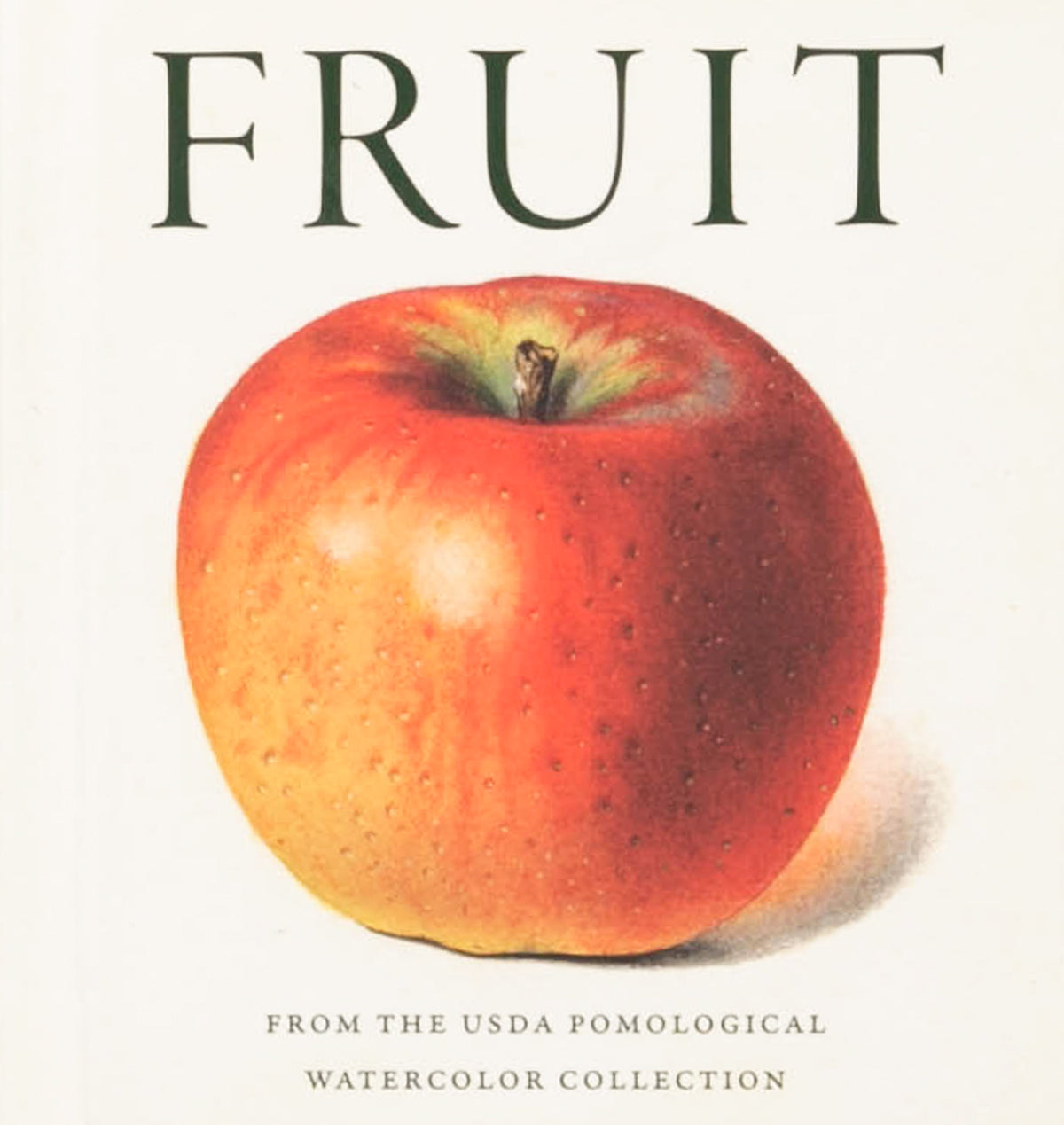 Fruit: From the USDA Pomological Watercolor Collection