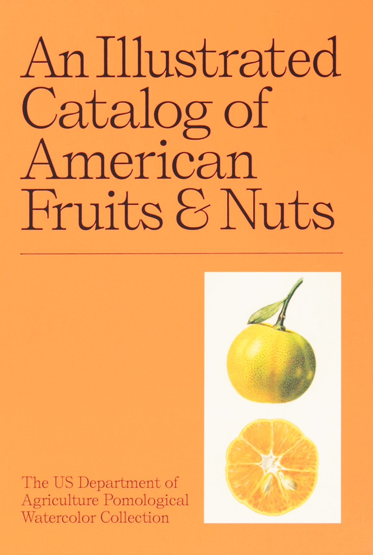 An Illustrated Catalog of American Fruits & Nuts