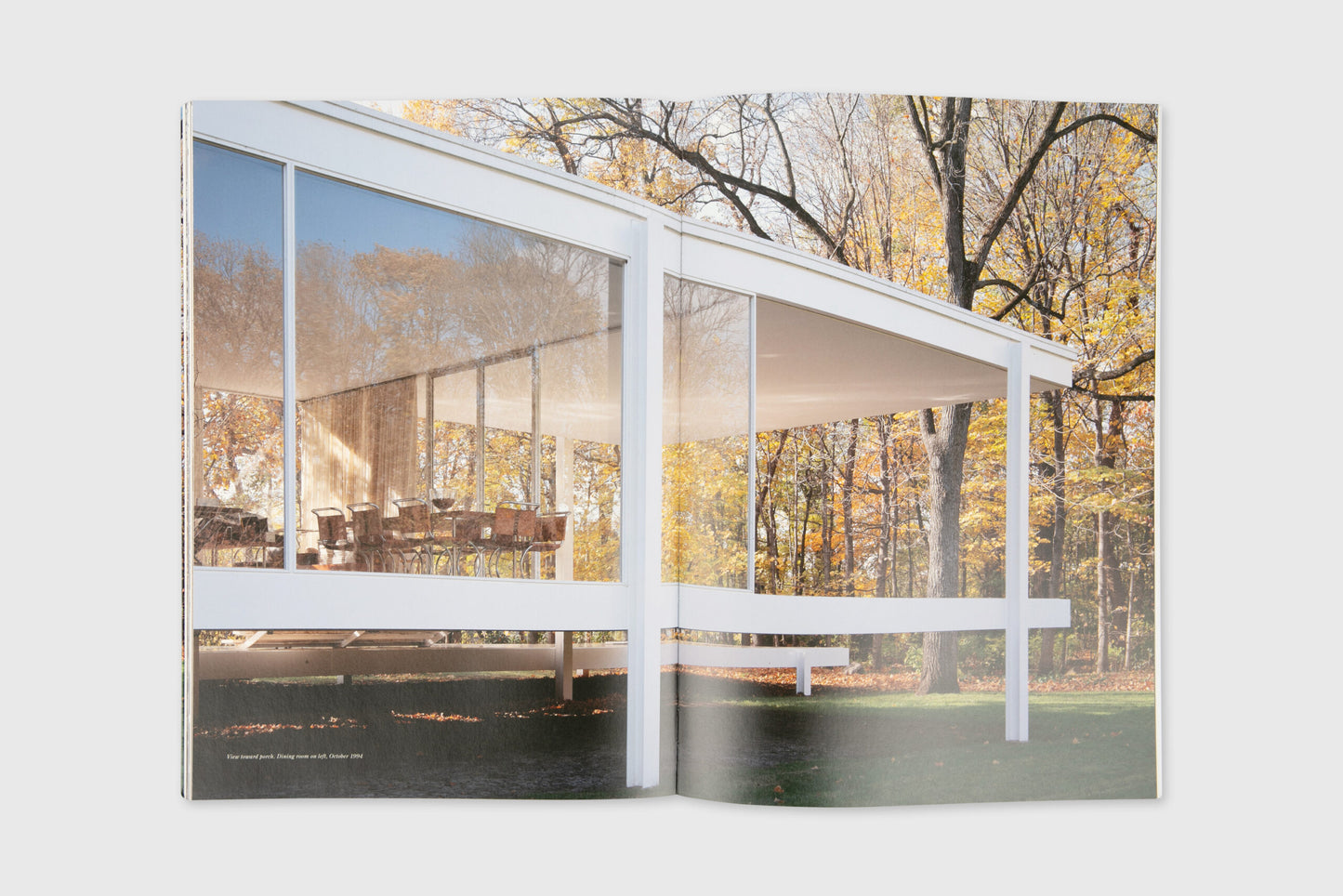 Residential Masterpieces 30: Mies Van Der Rohe