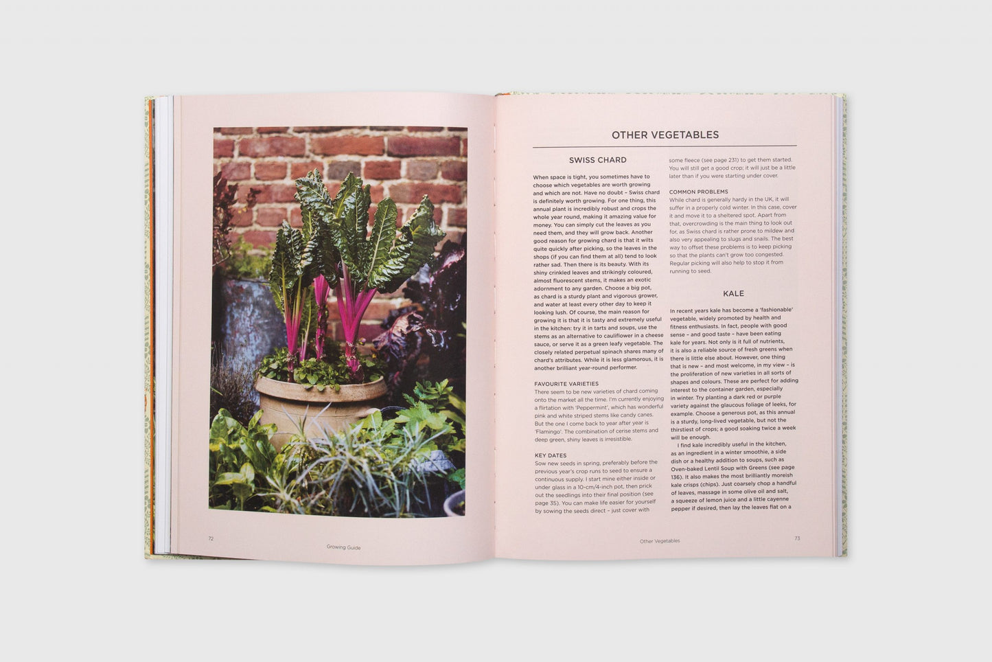 Grow Fruit & Vegetables in Pots: Planting Advice & Recipes from Great Dixter