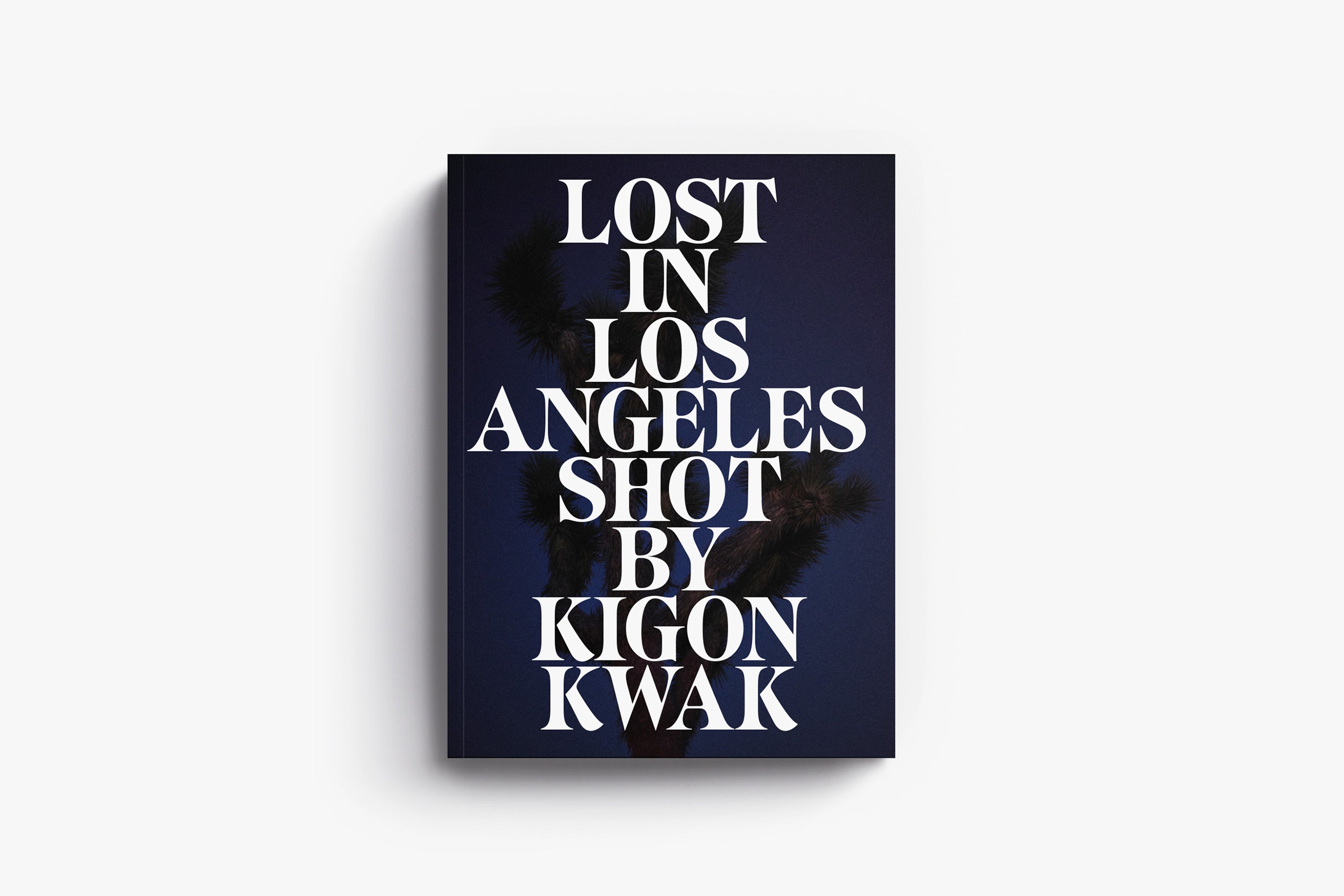 Lost in Los Angeles Book Launch & Signing