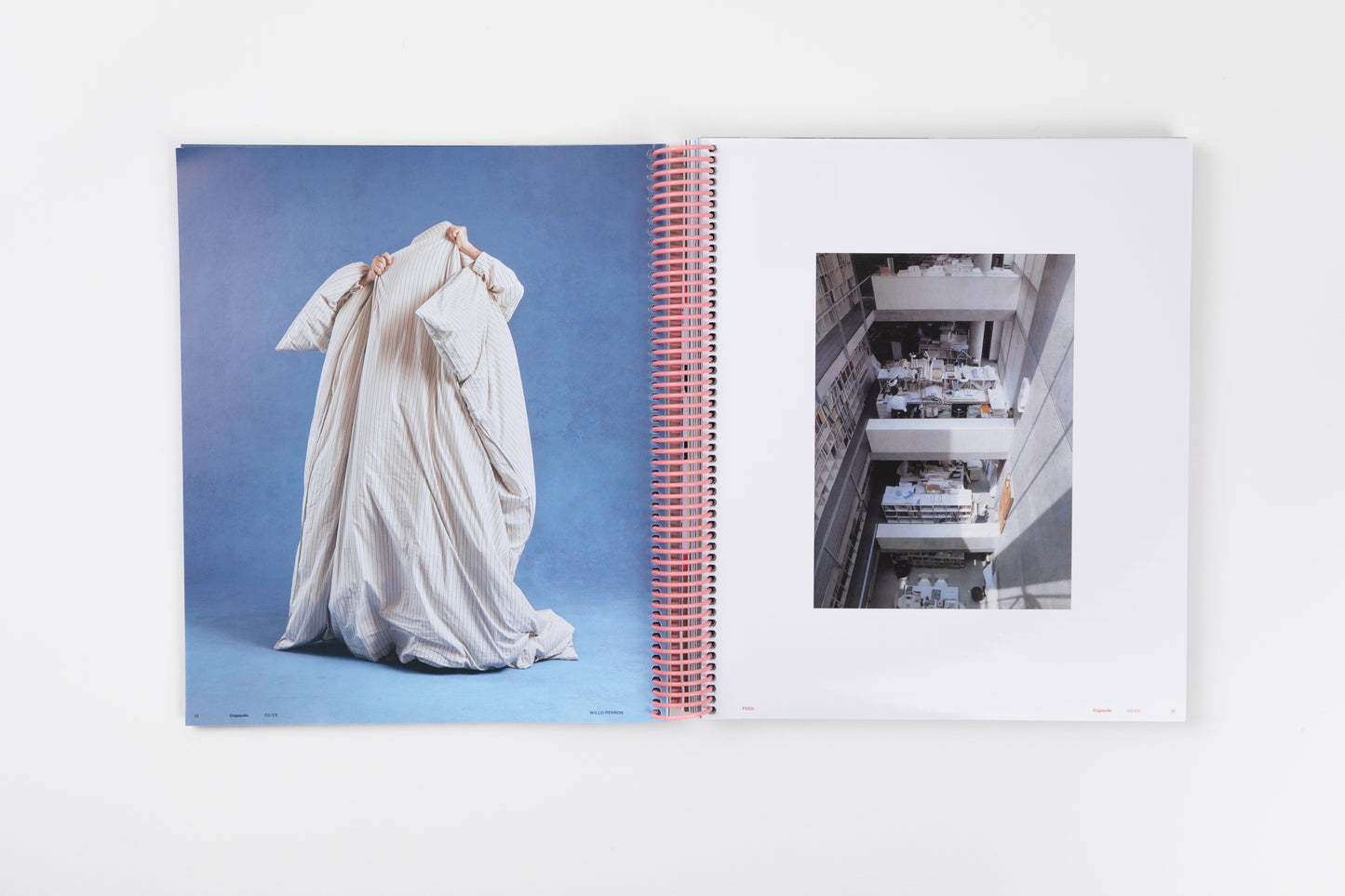 Capsule Issue 2 – Paulin Paulin Paulin in Tokyo