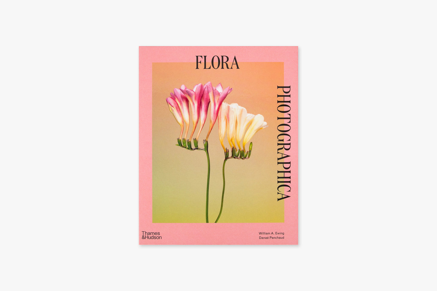 Flora Photographica