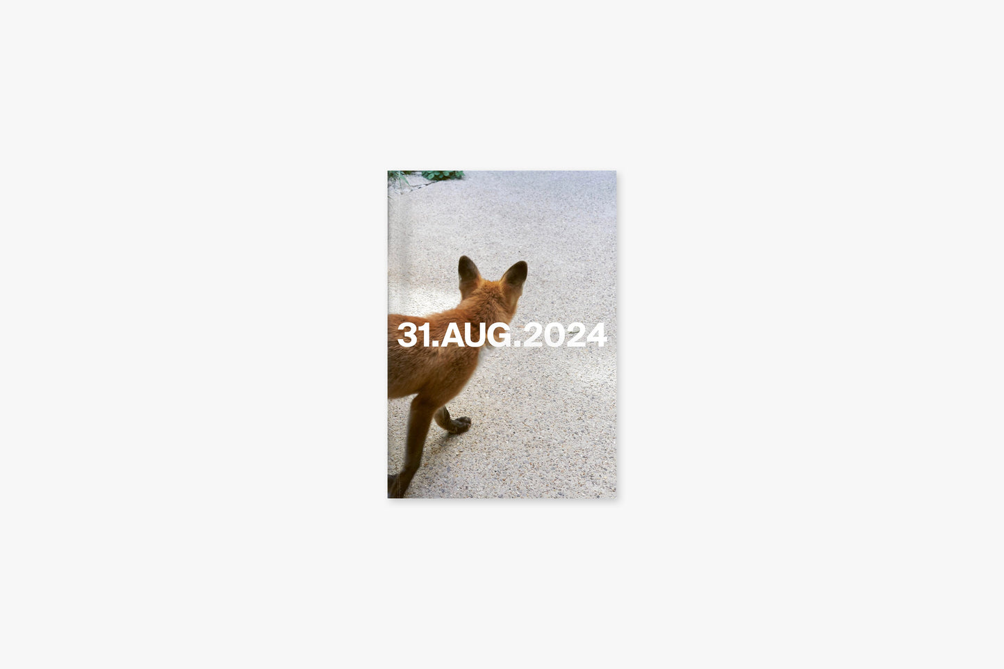 ZEITUNG 31.AUG.2024