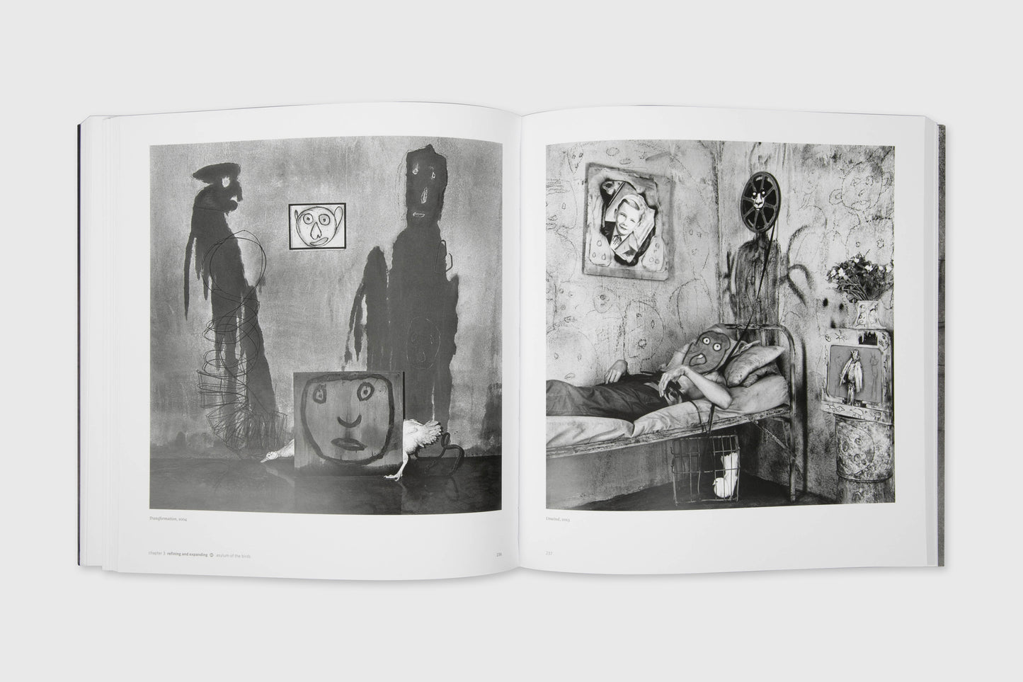 Ballenesque: Roger Ballen: A Retrospective