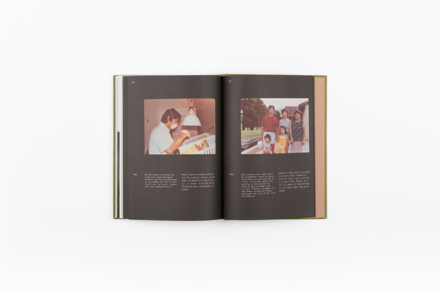 Minari Screenplay Book