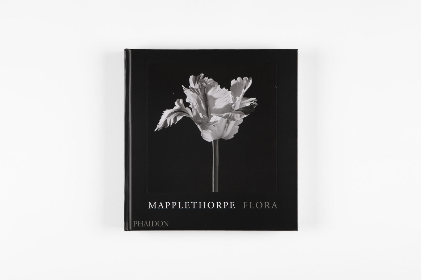 Mapplethorpe Flora