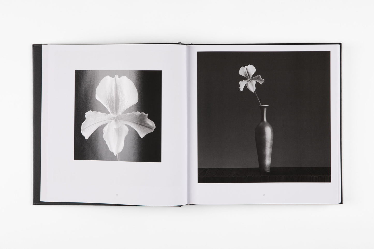 Mapplethorpe Flora