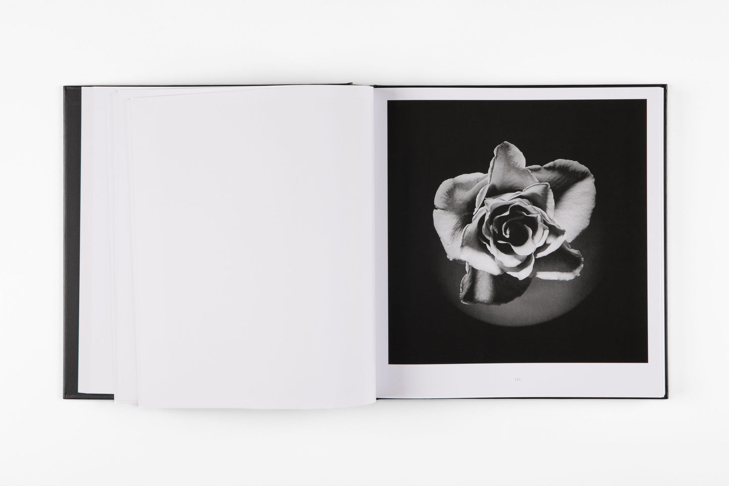 Mapplethorpe Flora