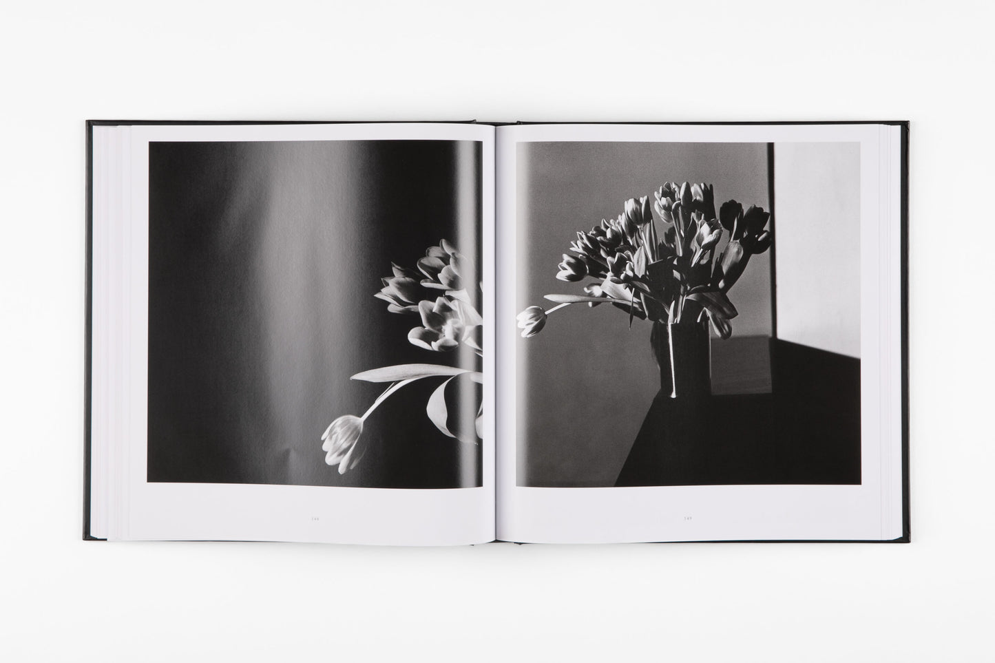 Mapplethorpe Flora