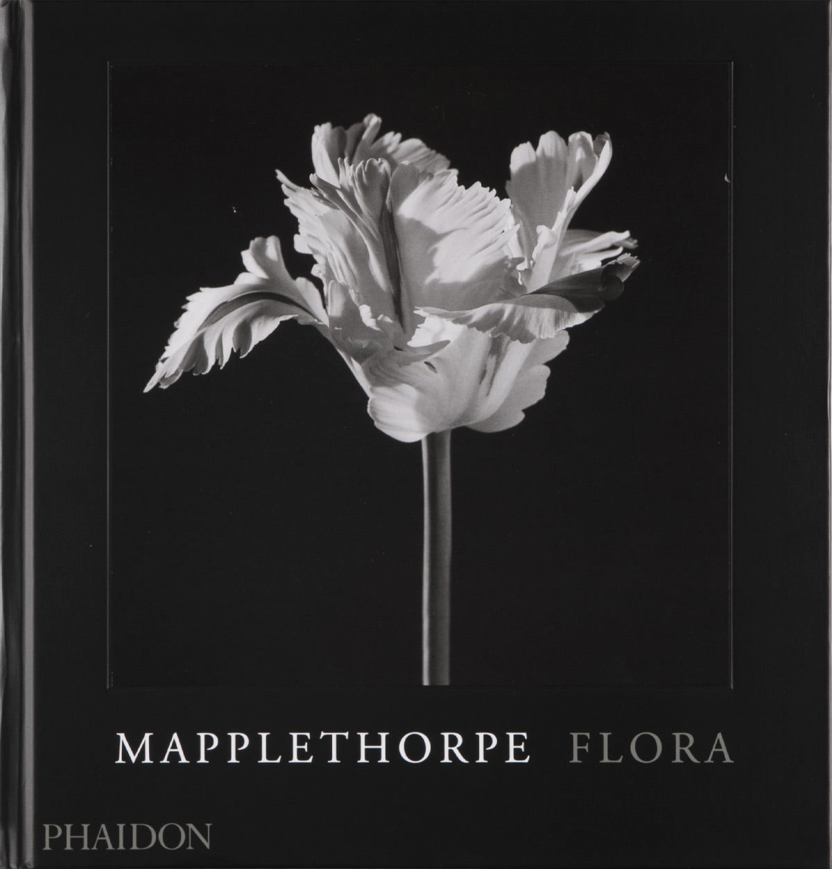 Mapplethorpe Flora