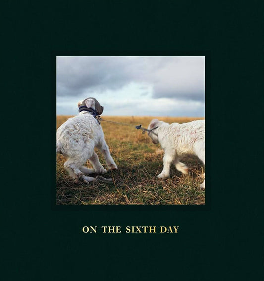 Alessandra Sanguinetti: On the Sixth Day