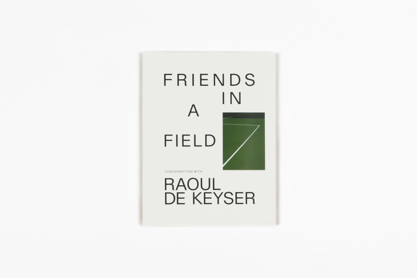 Friends in a Field: Conversations with Raoul De Keyser