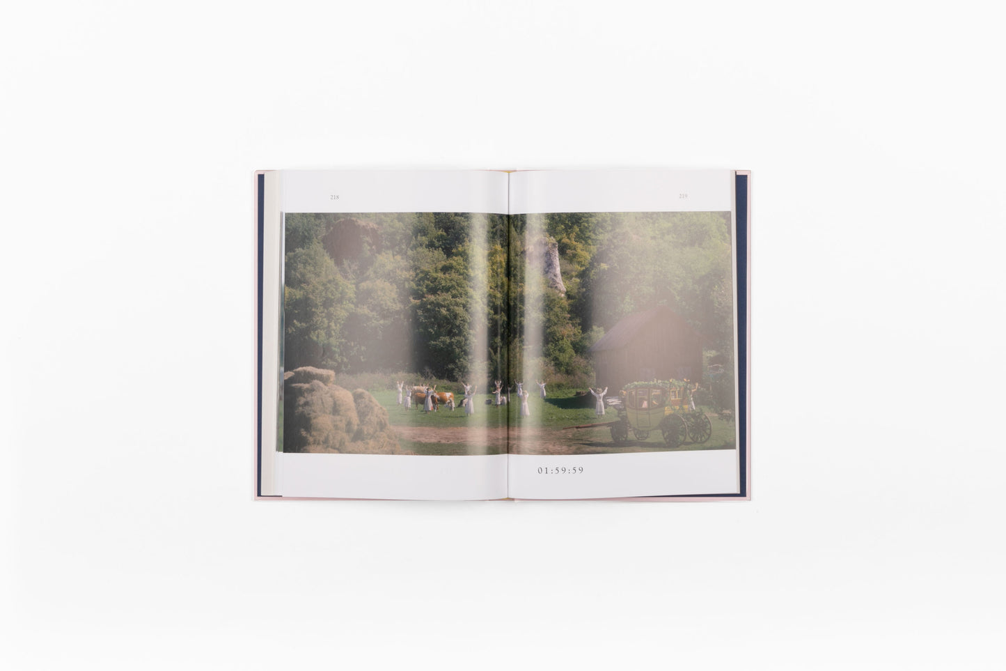 Midsommar Screenplay Book