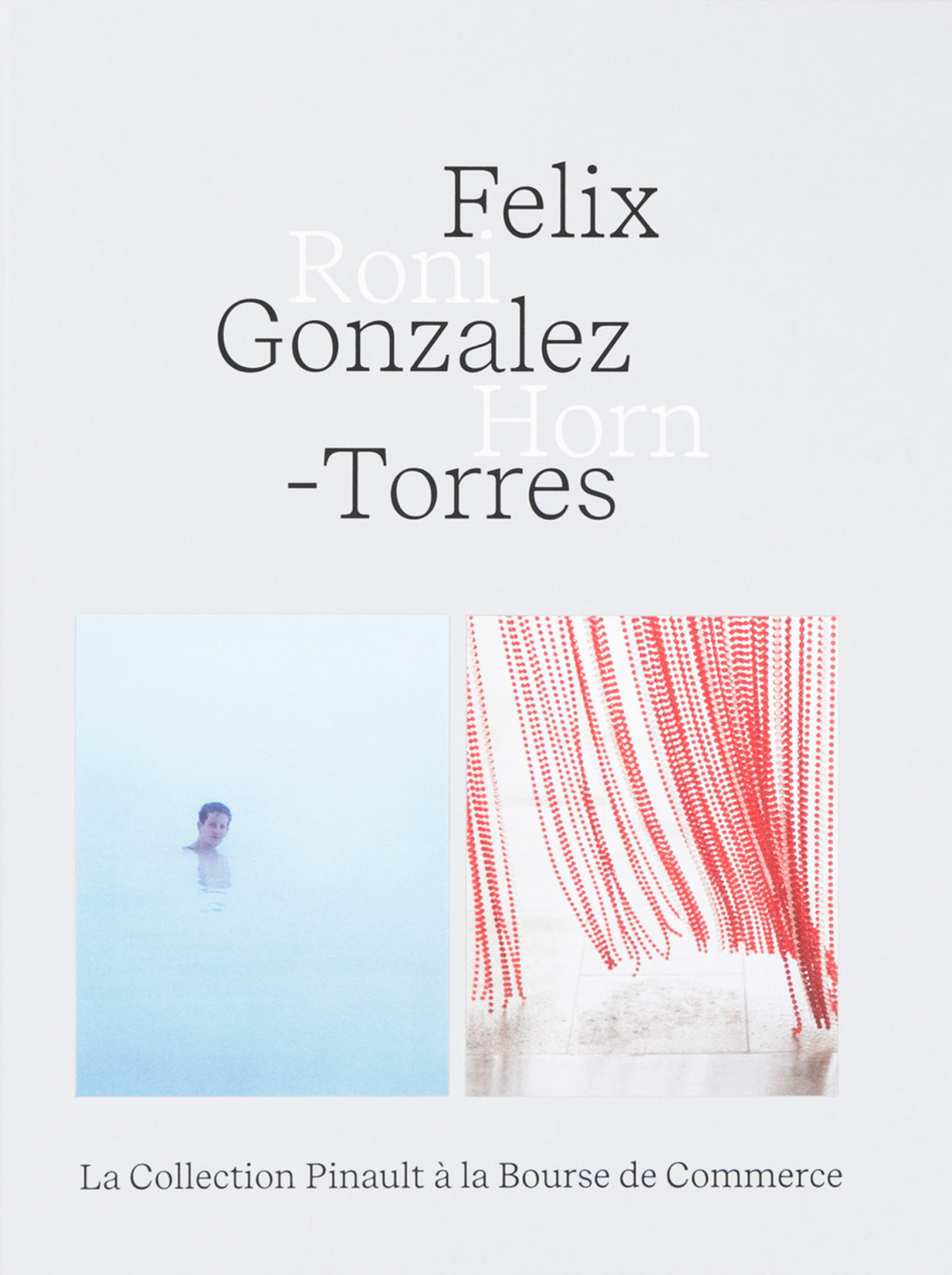 Felix Gonzalez-Torres — Roni Horn