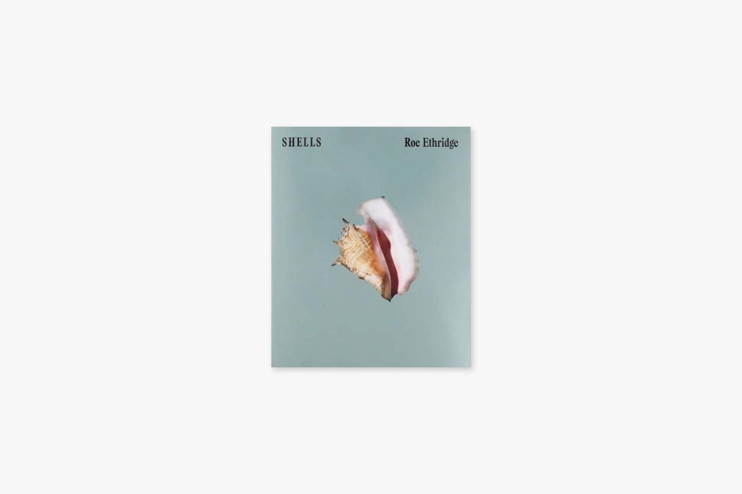 Roe Ethridge: Shells