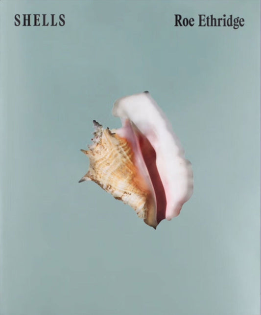 Roe Ethridge: Shells