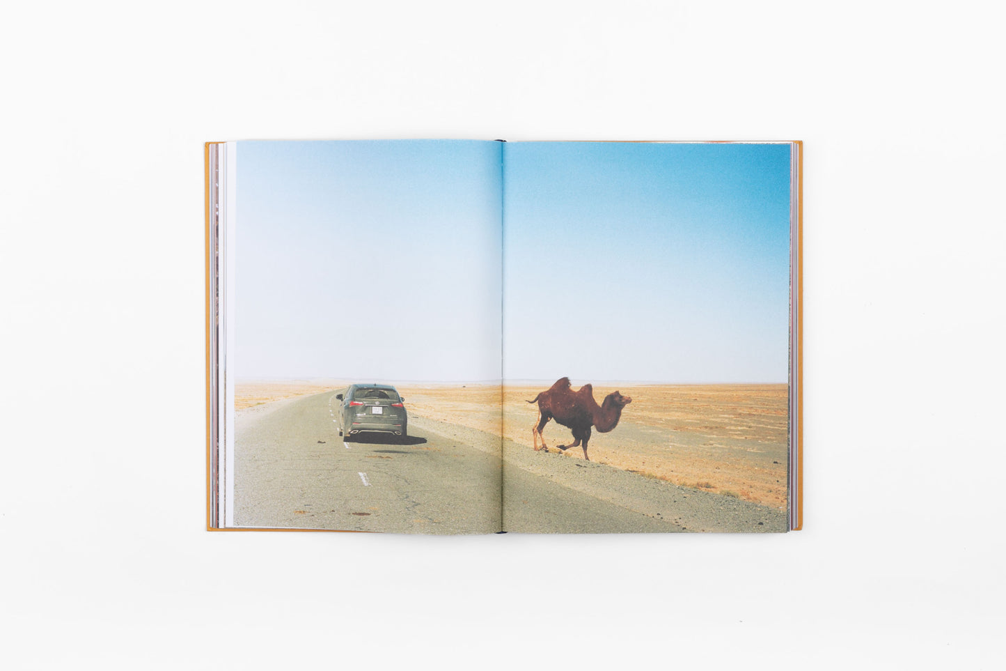 Silk Road by Mari Marciano and Mark Borthwick