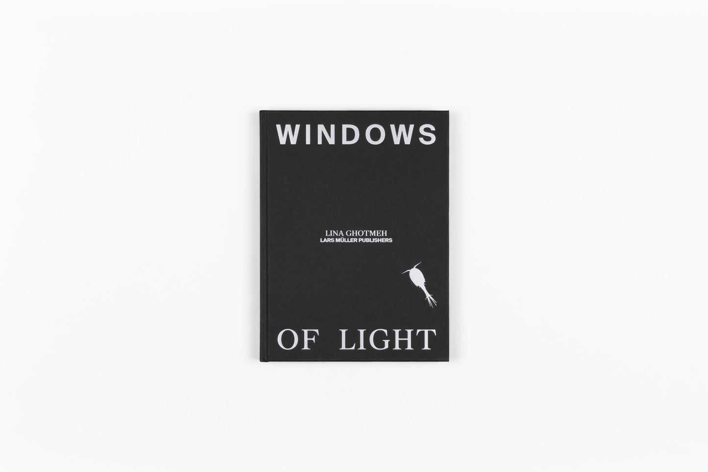 Windows of Light