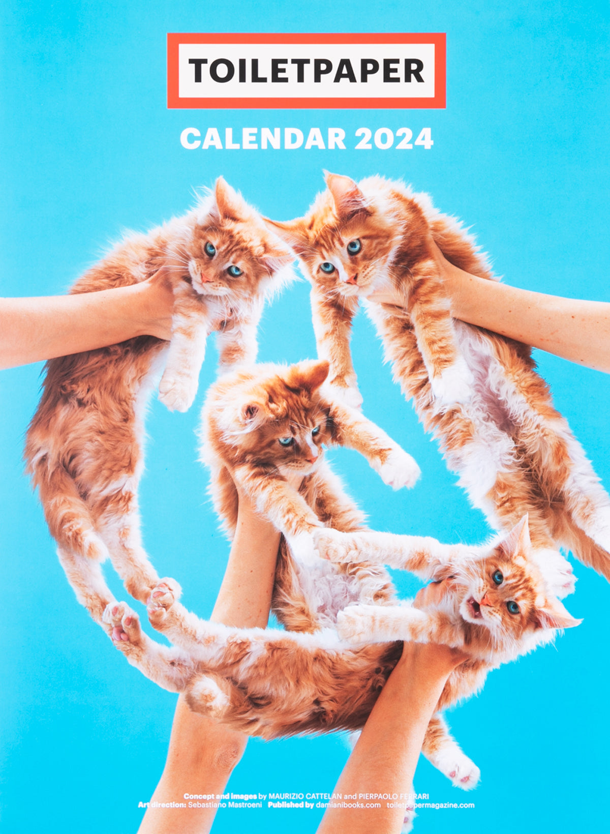 Toiletpaper Calendar 2024