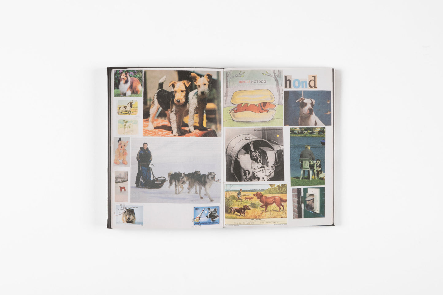 Animal Books for Jaap, Zeno, Anna, Julian & Luca (New Edition)