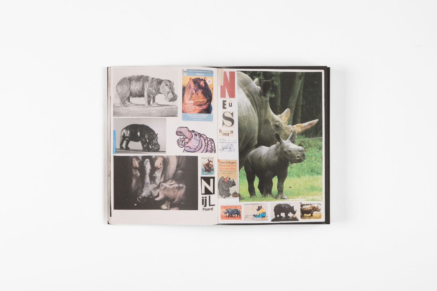 Animal Books for Jaap, Zeno, Anna, Julian & Luca (New Edition)