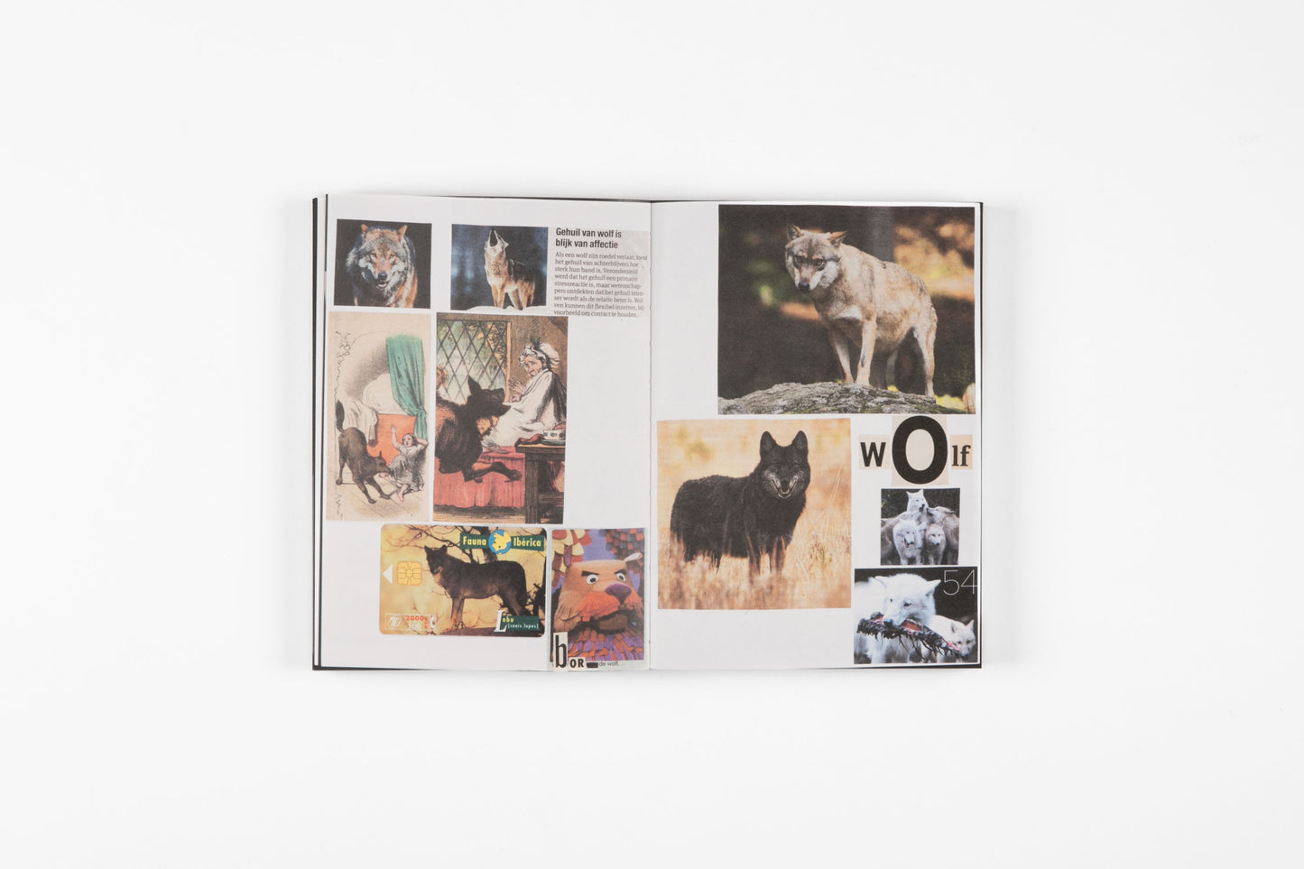 Animal Books for Jaap, Zeno, Anna, Julian & Luca (New Edition)