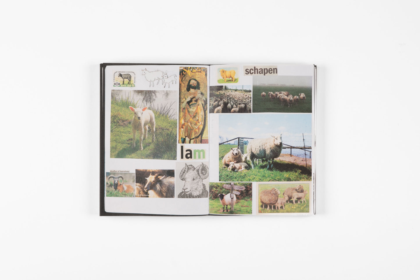 Animal Books for Jaap, Zeno, Anna, Julian & Luca (New Edition)