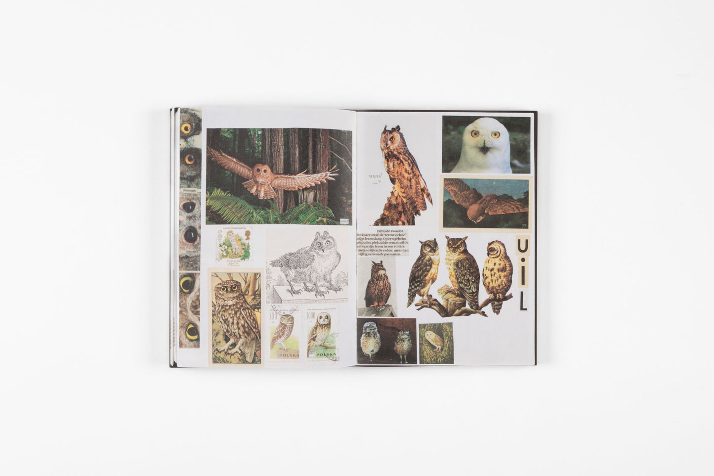 Animal Books for Jaap, Zeno, Anna, Julian & Luca (New Edition)