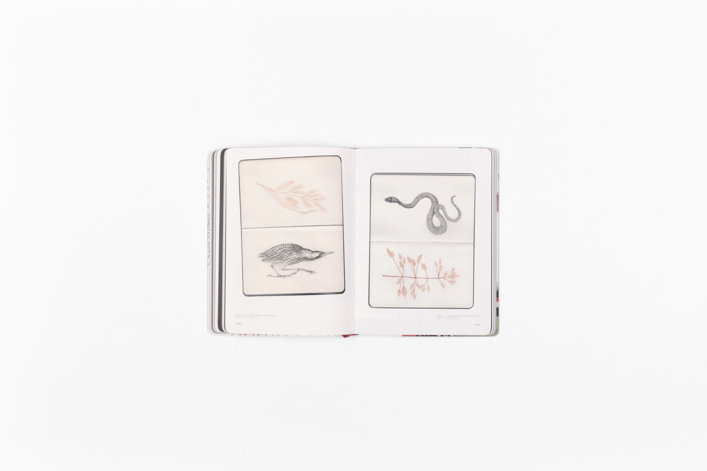 Sketched Out: Artistic Sketchbooks and Journals Unveiled