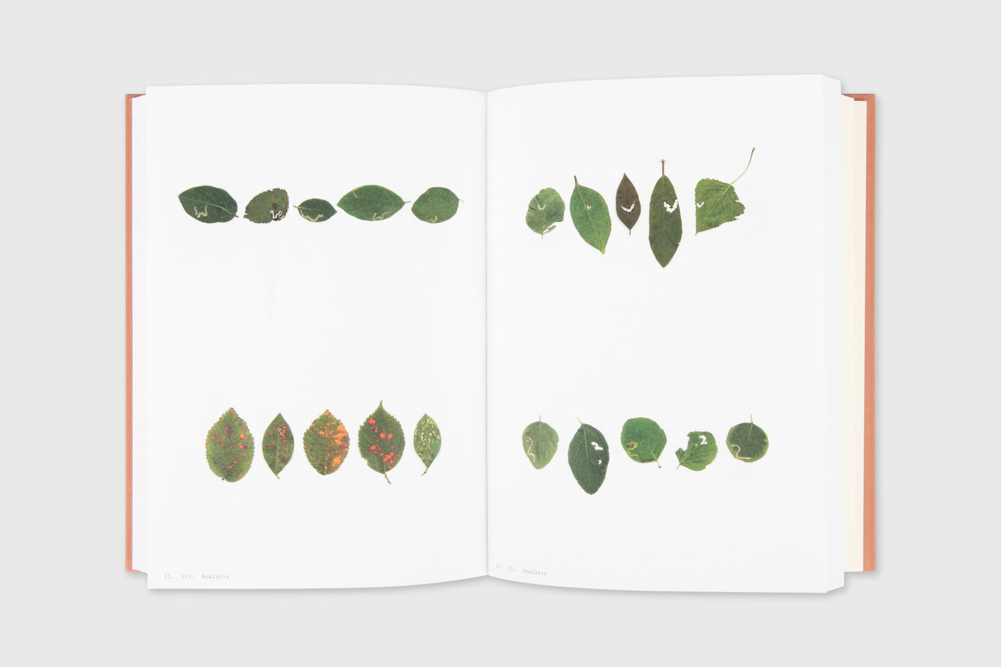 Book Of Plants